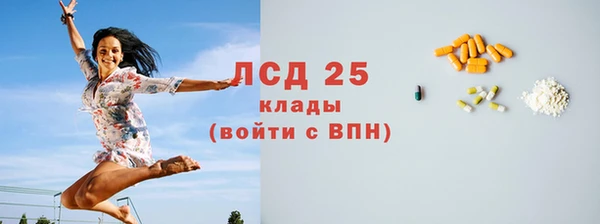мдпв Болотное