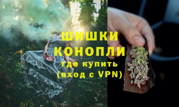 spice Билибино